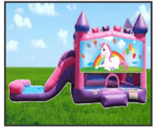 Unicorn Pink & Purple Combo Dry Slide