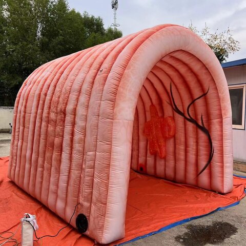 Giant Inflatable Colon Tunnel Display Cancer Giant Inflatable Colon Tunnel Display Cancer