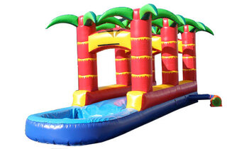 Tropical Slip n Slide w pool