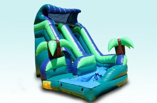 Tropical Curve Water Slide Tropical Curve Water Slide