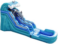 15ft Dolphin Dive Water Slide