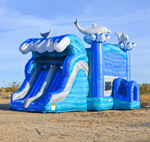 Dolphin Dual Lane Dolphin Dual Lane