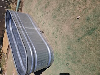 LARGE DRINK TUB