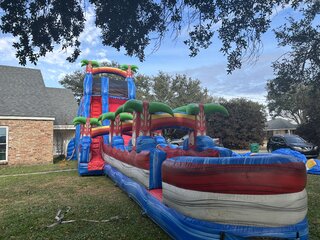24ft Tropical