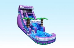18FT WILD THING WS609