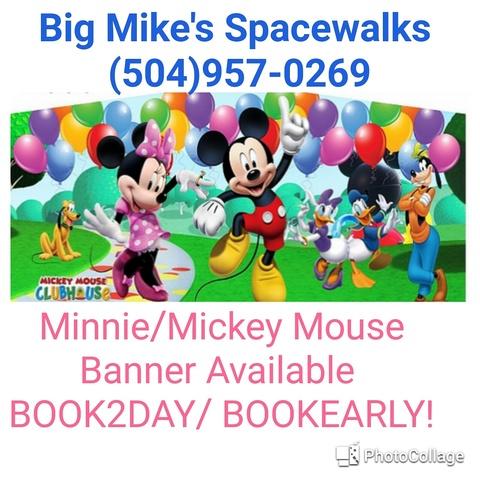 Banner - Mickey & Minnie Panel
