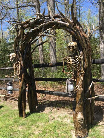 S-Skeleton Tree Arch
