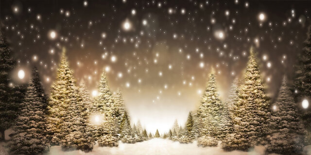 C-Christmas Tree Backdrops