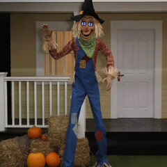 SC-Friendly Scarecrow