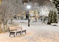 BD-Snow in The Park