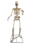 S-Talking Skeleton