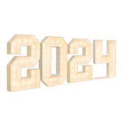 2024 Light Up Numbers