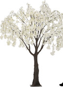 white-6.5ft-wisteria-tree