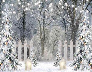 BD-Winter Gate Scene.jpeg