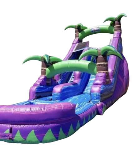 20 FT Purple Paradise 20 FT Purple Paradise