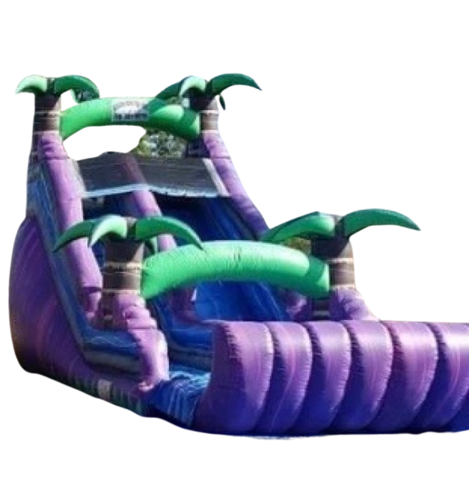 20 FT Purple Paradise-Dry 20 FT Purple Paradise-Dry