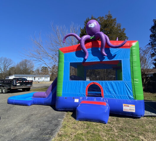 Combo Slide and Bounce Combo Slide and Bounce