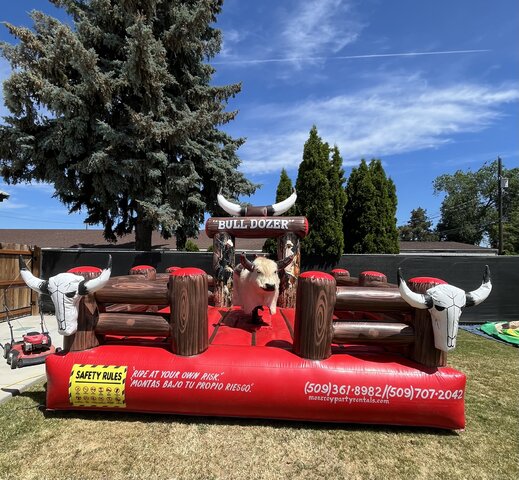 Mechanical Bull Mechanical Bull