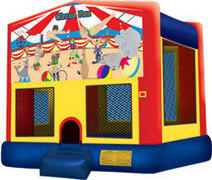 Circus Fun Circus Fun