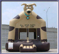 Crazy Dog Crazy Dog