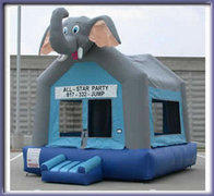 Elephant Elephant