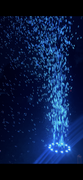 Bubbles Bubbles