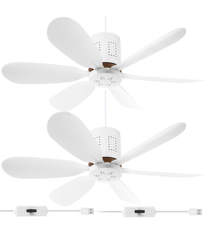 Ceiling Fan Ceiling Fan