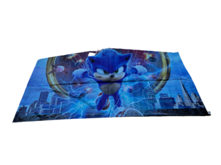 Sonic Bounce House Banner
