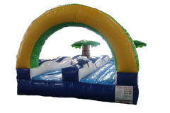Palm Tree Slip N Slide Palm Tree Slip N Slide