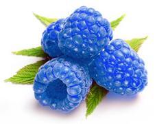 ChiChi Blue Raspberry