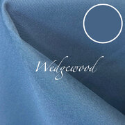 Wedgewood polyester Wedgewood polyester