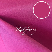 Rasberry polyester Rasberry polyester
