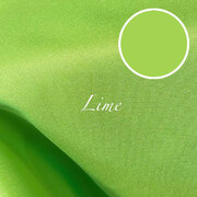 Lime polyester Lime polyester