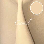 Camel polyester Camel polyester