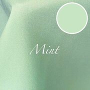 Mint polyester Mint polyester