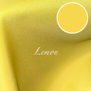 Lemon polyester Lemon polyester