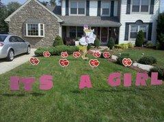 It's a Girl Letters
