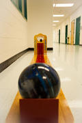 Rowler Bowler Rowler Bowler