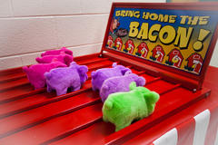 Bring Home the Bacon Bring Home the Bacon