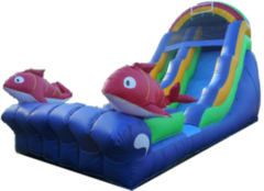 18' Big fish slide 18' Big fish slide