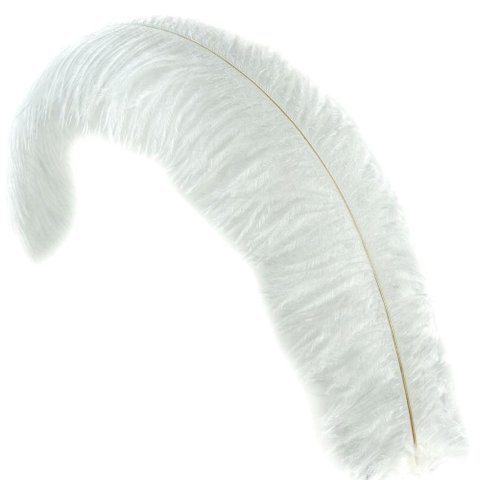 Feather - Ostrich Feather - White