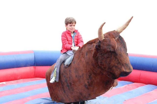 Inflatables - Mechanical Bull