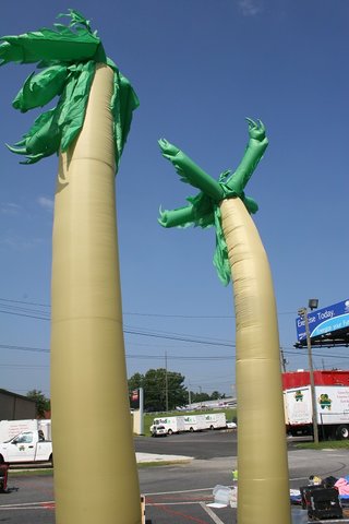 Air Dancers - Palm Tree 