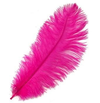 Ostrich Feather - Dark Pink 
