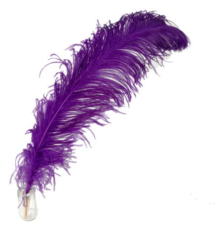 Feather - Ostrich Feather - Purple