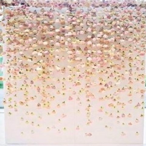 Photo Fun - Instagram Wall - Hanging flowers - drape