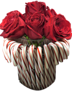 Candy Canes & Roses