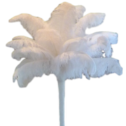 Solid White Feather Centerpiece
