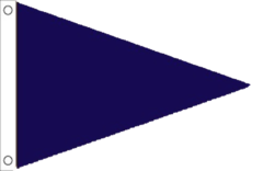 Blue Triangle Flag