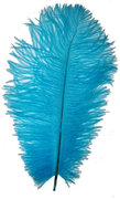 Blue Ostrich Feather